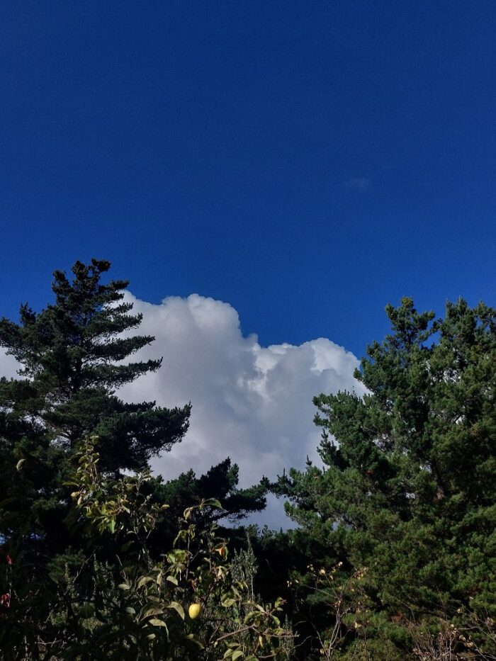 WhatsApp Image 2025-09-12 at 15.48.50