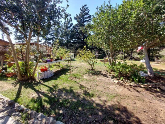 WhatsApp Image 2025-09-12 at 15.48.52 (1)